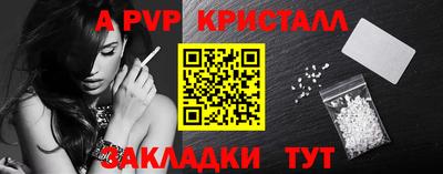 2c-b Кингисепп