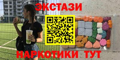 2c-b Кингисепп