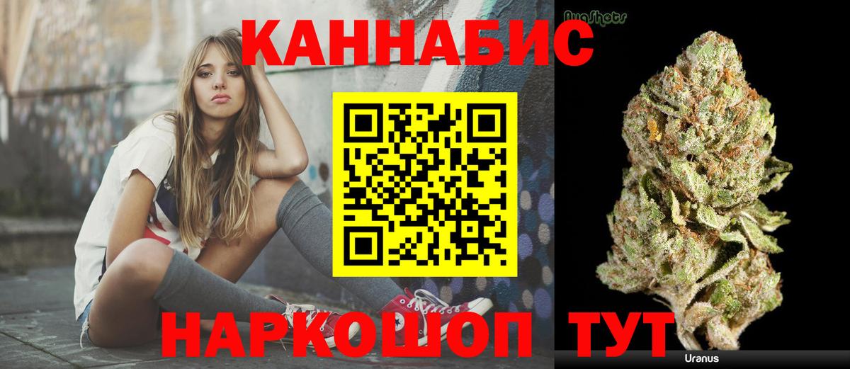 Бошки Шишки планчик Крымск